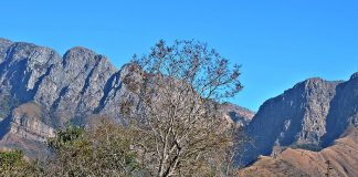 Parcul Național Marakele: Obiective turistice Africa de Sud – Thabazimbi Marakele