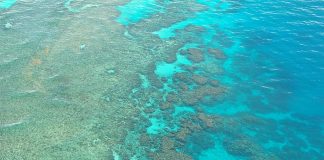 Marea Bariera de Corali