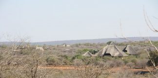 Rezervația naturală Marloth: Obiective turistice Africa de Sud – Swellendam Marloth