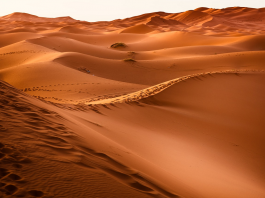 Maroc