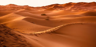Maroc : Țări de vizitat Maroc