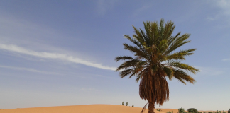 Mauritania : Țări de vizitat Mauritania