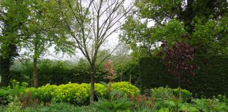 Grădinile Merriments: Obiective turistice Anglia – Etchingham Merriments