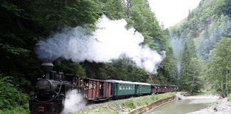 Mocănița de pe Valea Vaserului