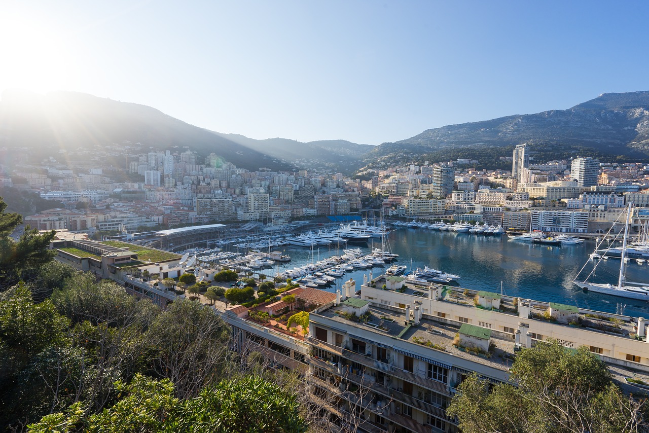 Monte Carlo1