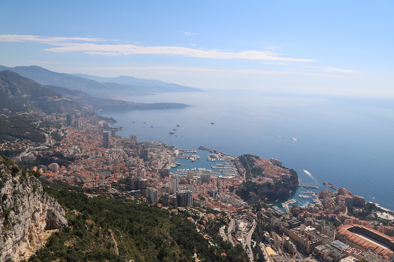 Monte Carlo111