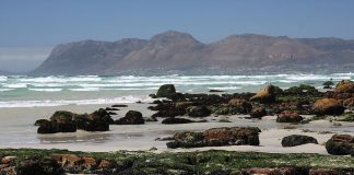 Muizenberg