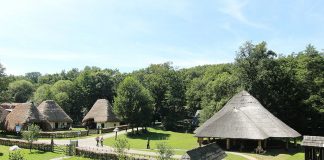 Muzeul Civilizației Populare și Tradiționale Astra