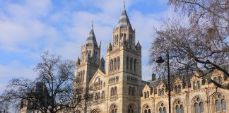 Muzeul Londrei: Obiective turistice Anglia – Londra Muzeul Londrei