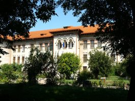 Muzeul Regiunii Porților de Fier