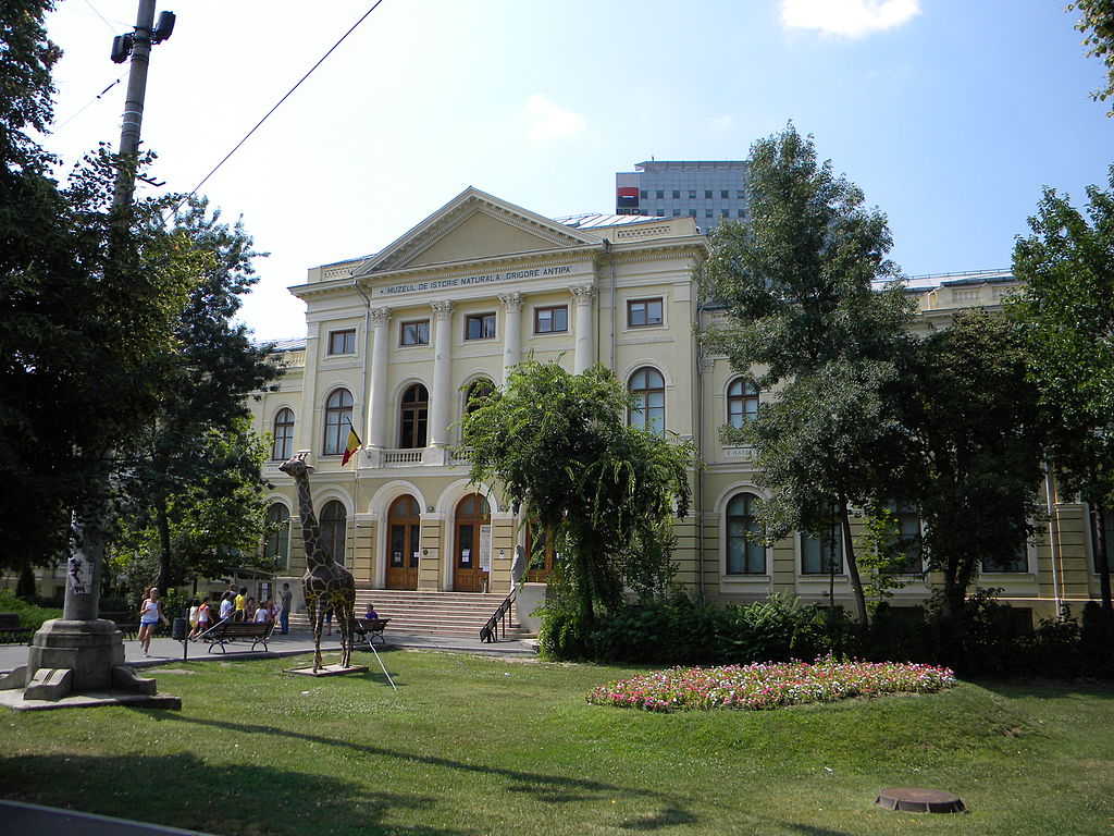 Muzeul de Istorie Naturală Grigore Antipa