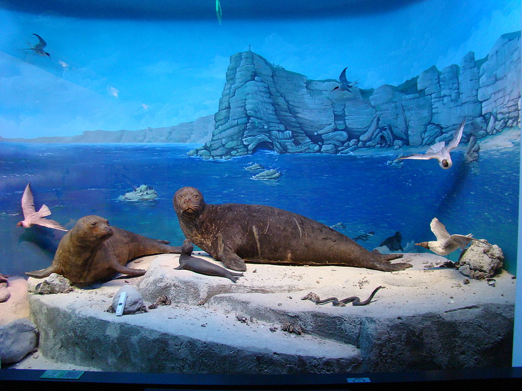 Muzeul de Istorie Naturală Grigore Antipa222