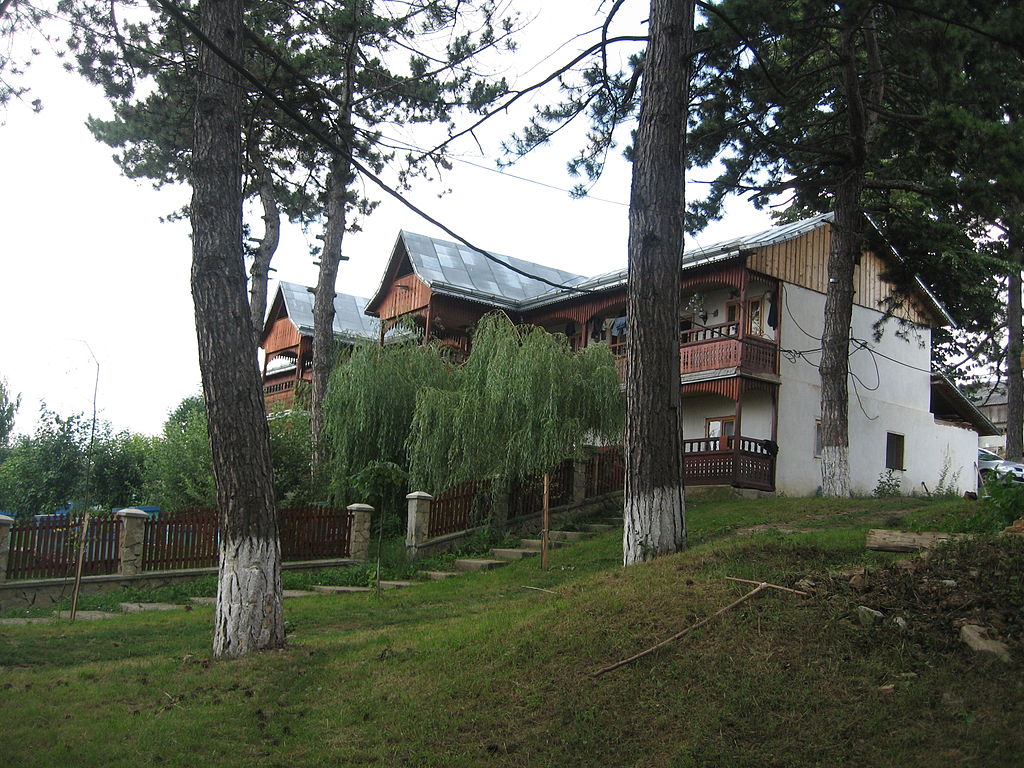 Mănăstirea Coşula11