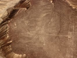 Nazca Lines