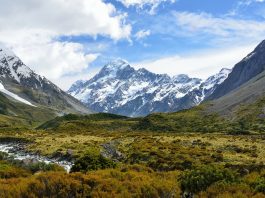 New Zealand