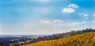 Nimes – Franta : Orașe de vizitat Nimes