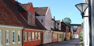 Odense1