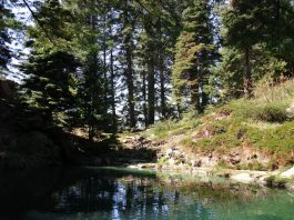 Ohme Gardens