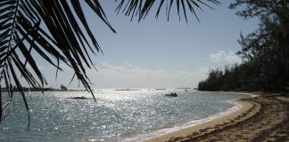 Orasul Andros: Obiective turistice Bahamas – Andros Orasul Andros