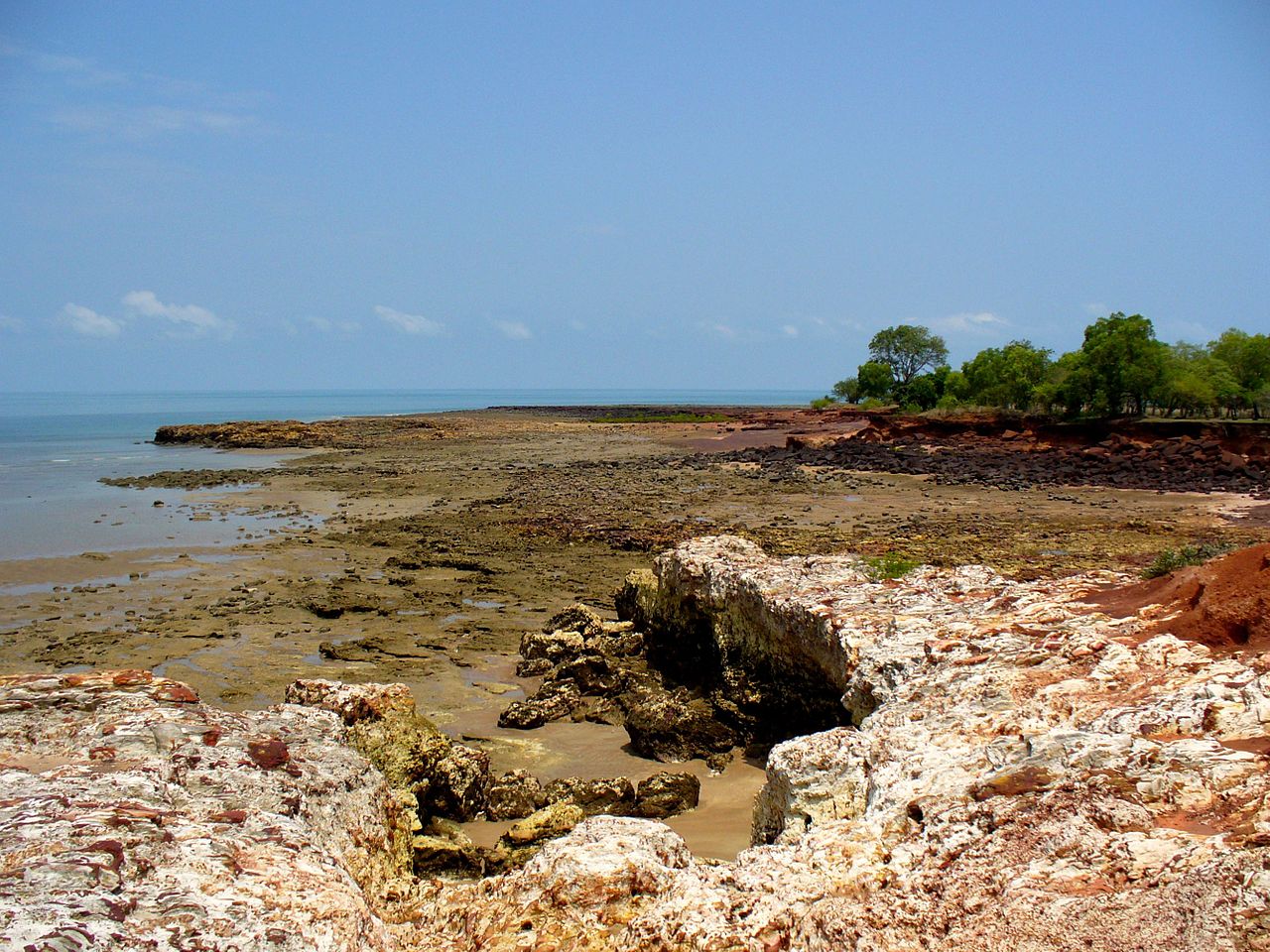 Orasul Darwin1