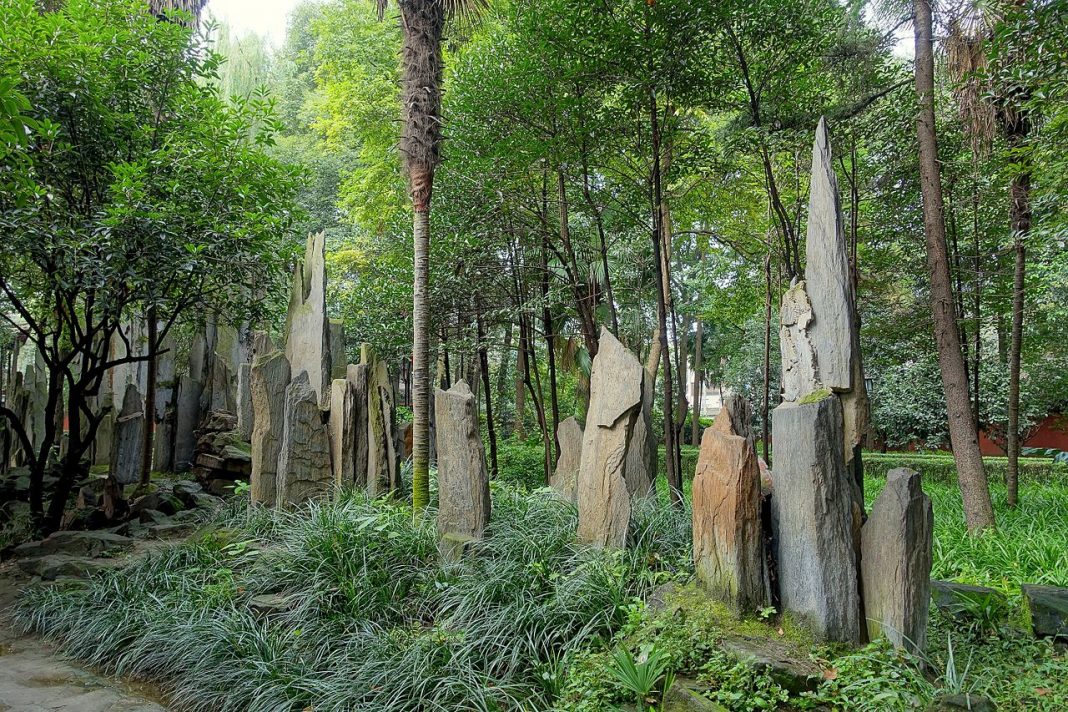 Padurea de piatra din Provincia Sichuan Padurea de piatra din Provincia Sichuan