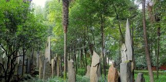 Padurea de piatra din Provincia Sichuan