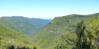Padurile de laur de pe Madeira: Obiective turistice Portugalia – Madeira Padurile de laur de pe Madeira