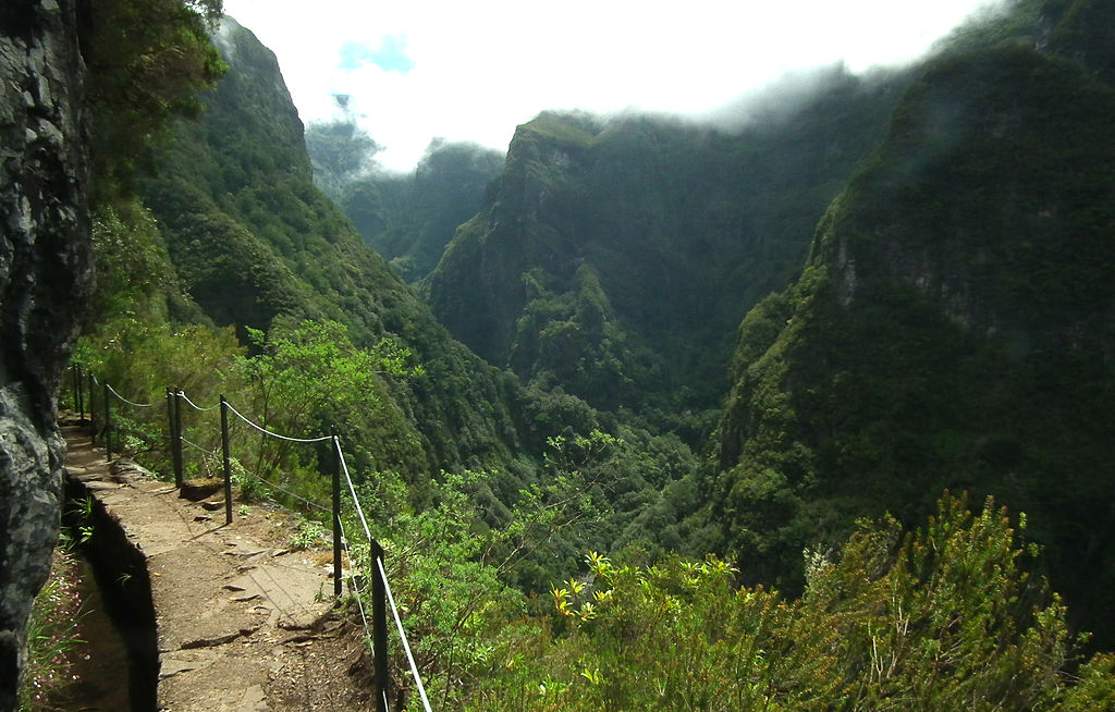 Padurile de laur de pe Madeira1111