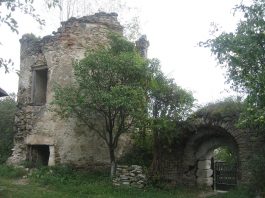 Palatul Cnejilor
