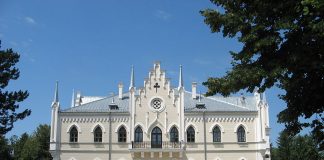 Palatul Cuza din Ruginoasa