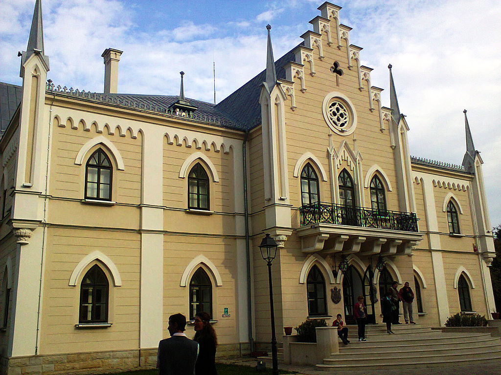 Palatul Cuza din Ruginoasa111