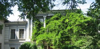 Palatul Sturdza de la Miroslava