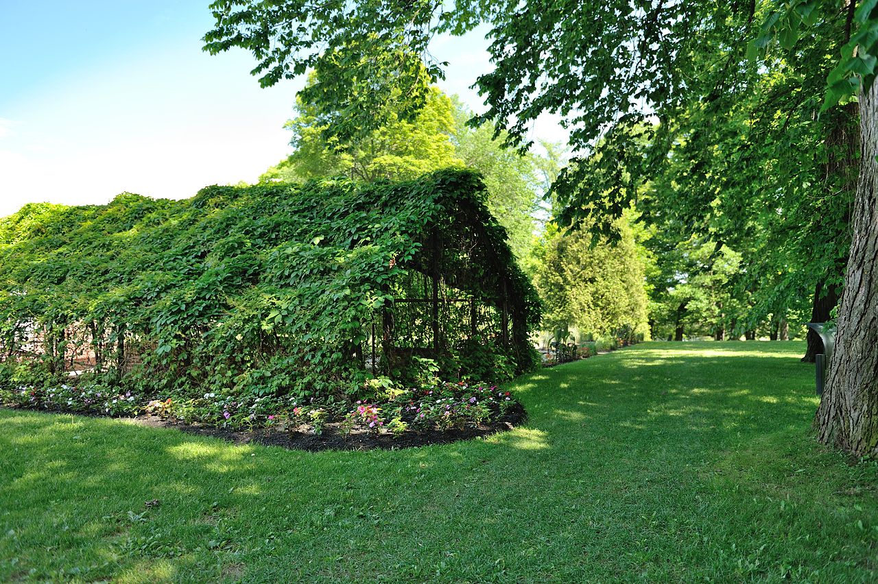 Parc du Bois-de-Coulonge111