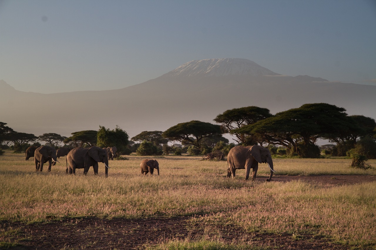 Parcul Naţional Amboseli