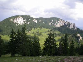 Parcul Național Cheile Bicazului – Hășmaș