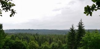 Parcul National Gauja