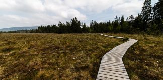 Parcul Național Harz – natură spectaculoasă în Munții Harz Parcul National Harz