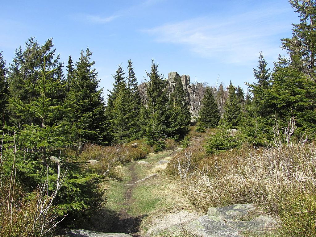 Parcul National Harz1111