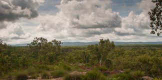 Parcul National Kakadu: Obiective turistice Australia – Jabiru Parcul National Kakadu