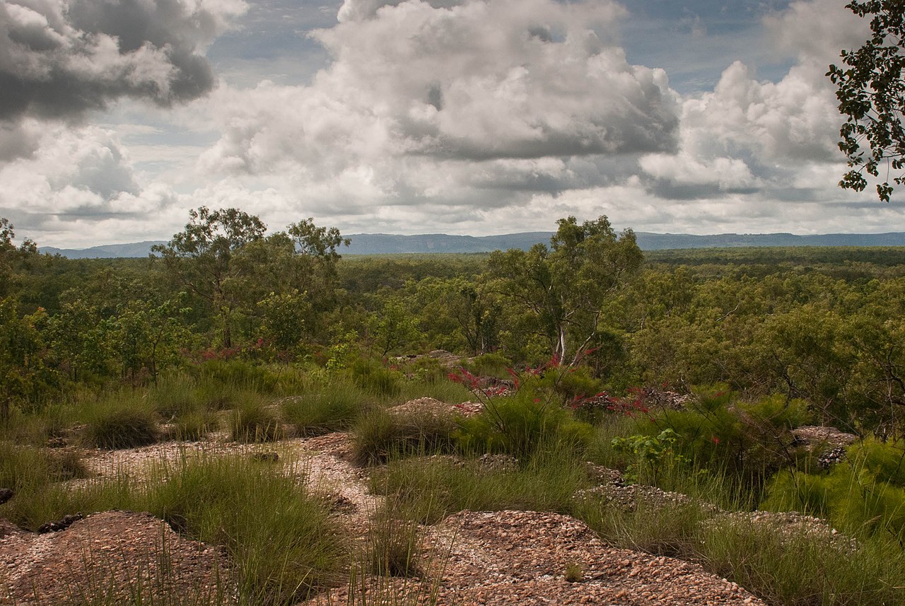 Parcul National Kakadu