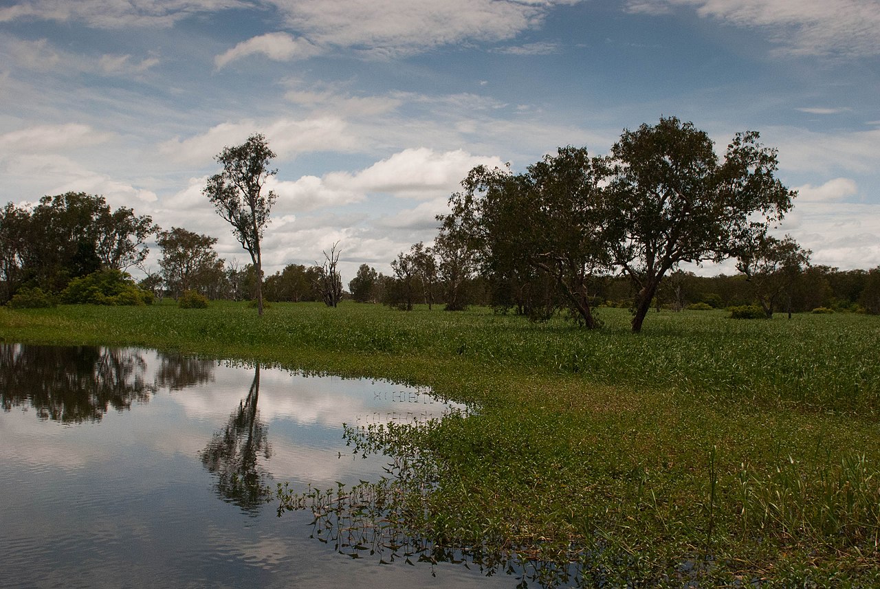 Parcul National Kakadu11