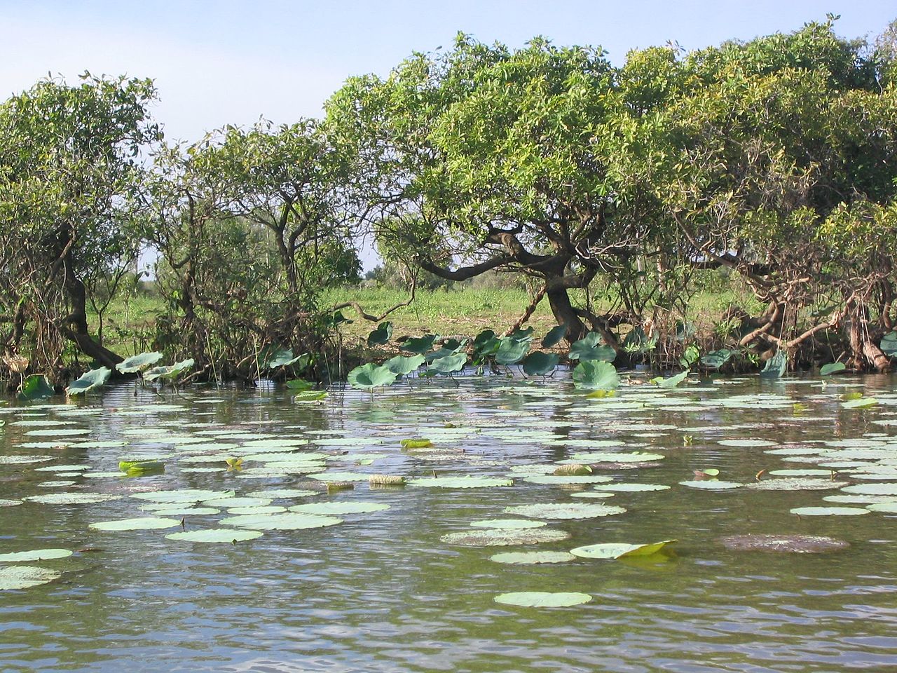 Parcul National Kakadu1111