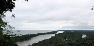 Parcul Național Tortuguero – un paradis tropical din Costa Rica Parcul National Tortuguero