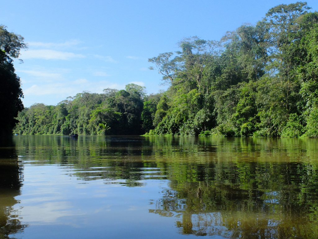 Parcul National Tortuguero11