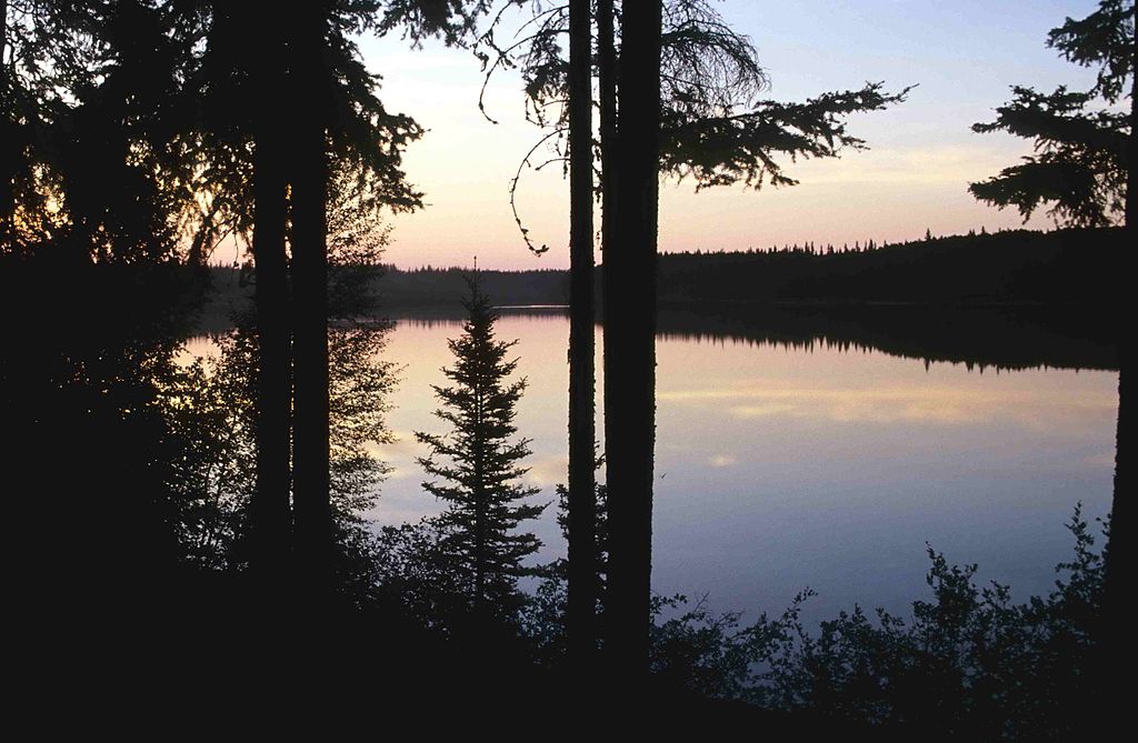 Parcul National Wood Buffalo11