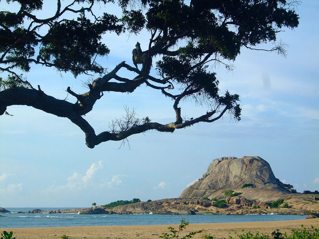 Parcul National Yala1