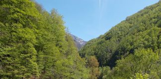 Parcul Naţional Defileul Jiului