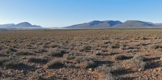 Parcul Național Camdeboo