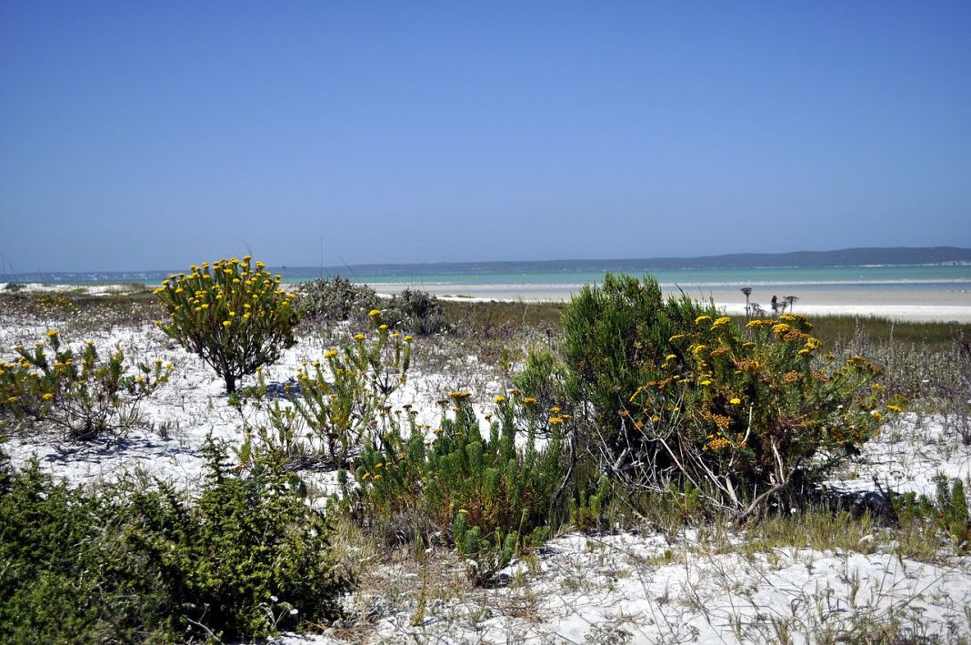 Parcul Național West Coast