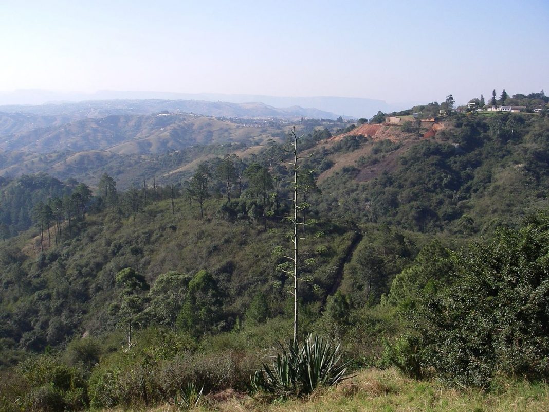 Parcul Safari PheZulu